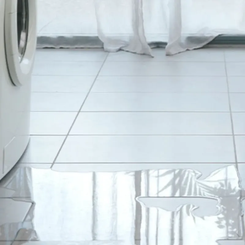 Appliance Leak Cleanup in Cave Creek, AZ